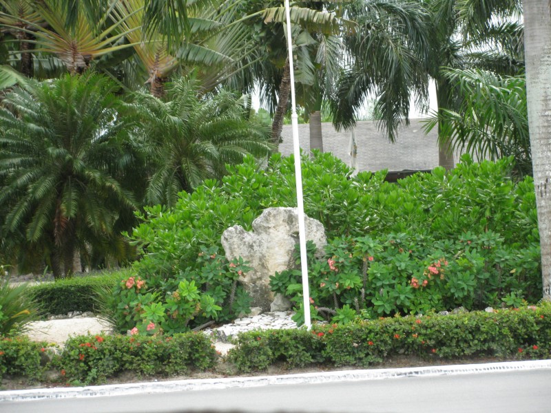 Dominican Republic 613.jpg